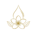 paradiseparfum.com